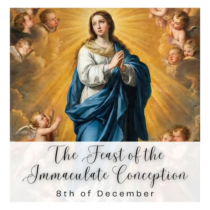 517743363687382_1474719371323105-1