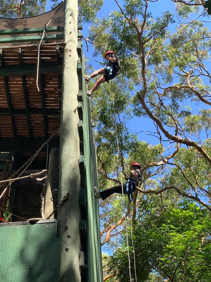 517743363687382_1475657097895999-1