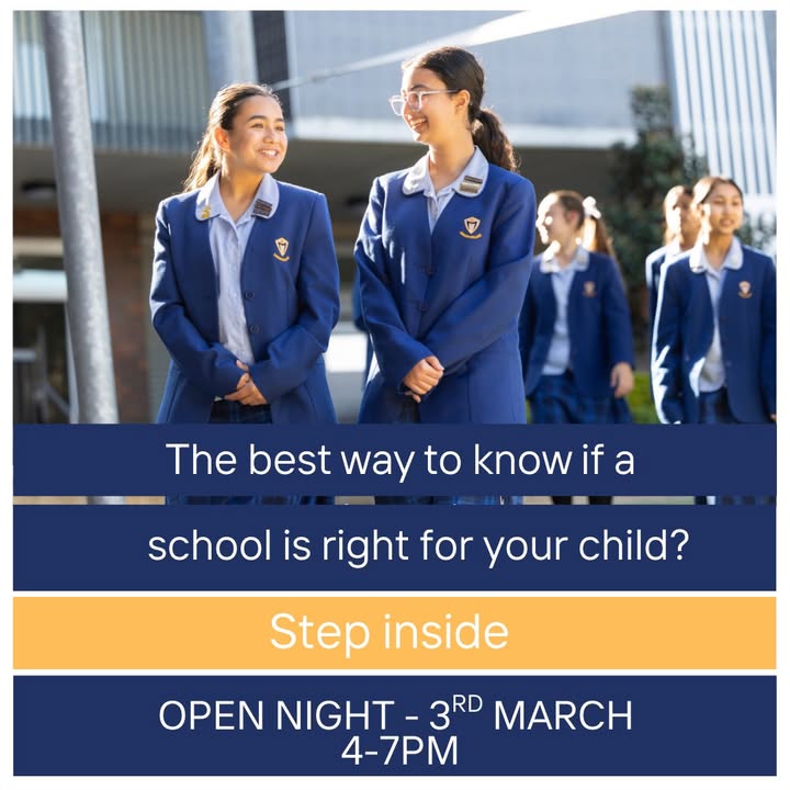 517743363687382_1530537329074642-1