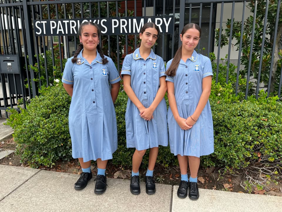 517743363687382_1545140037614371-1