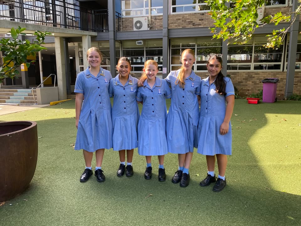 517743363687382_1557529623042079-1