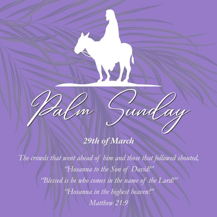 517743363687382_1574812294647145-1